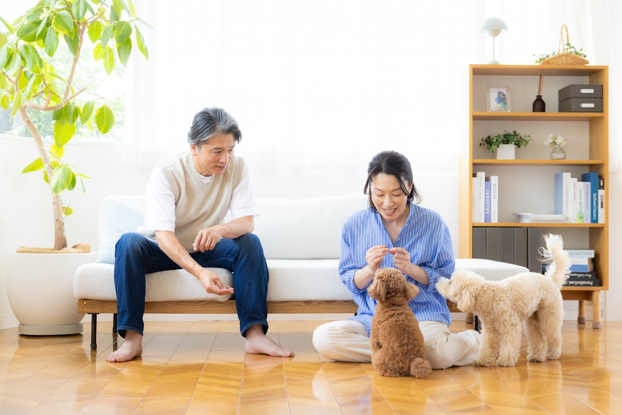 ペットと人は同じお墓に入れる?最新の埋葬事情を解説