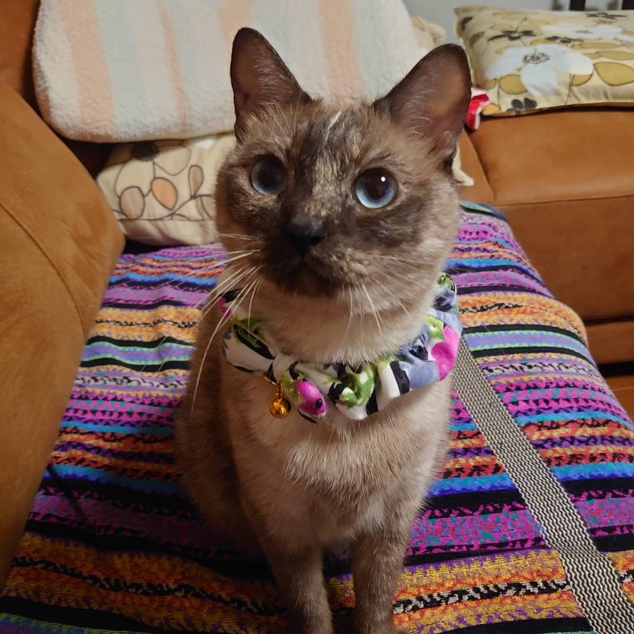 中村ハナちゃん