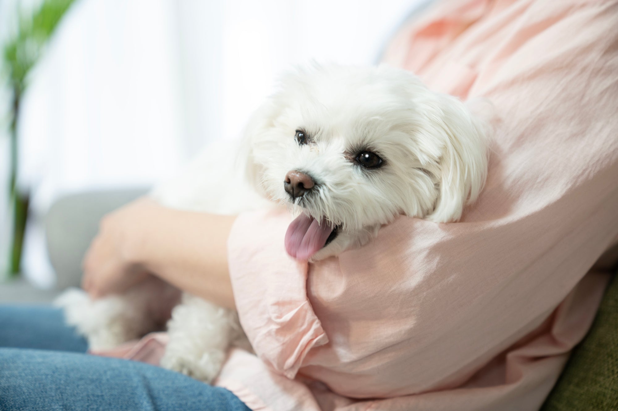 周囲に理解されない悲しみを抱えたとき