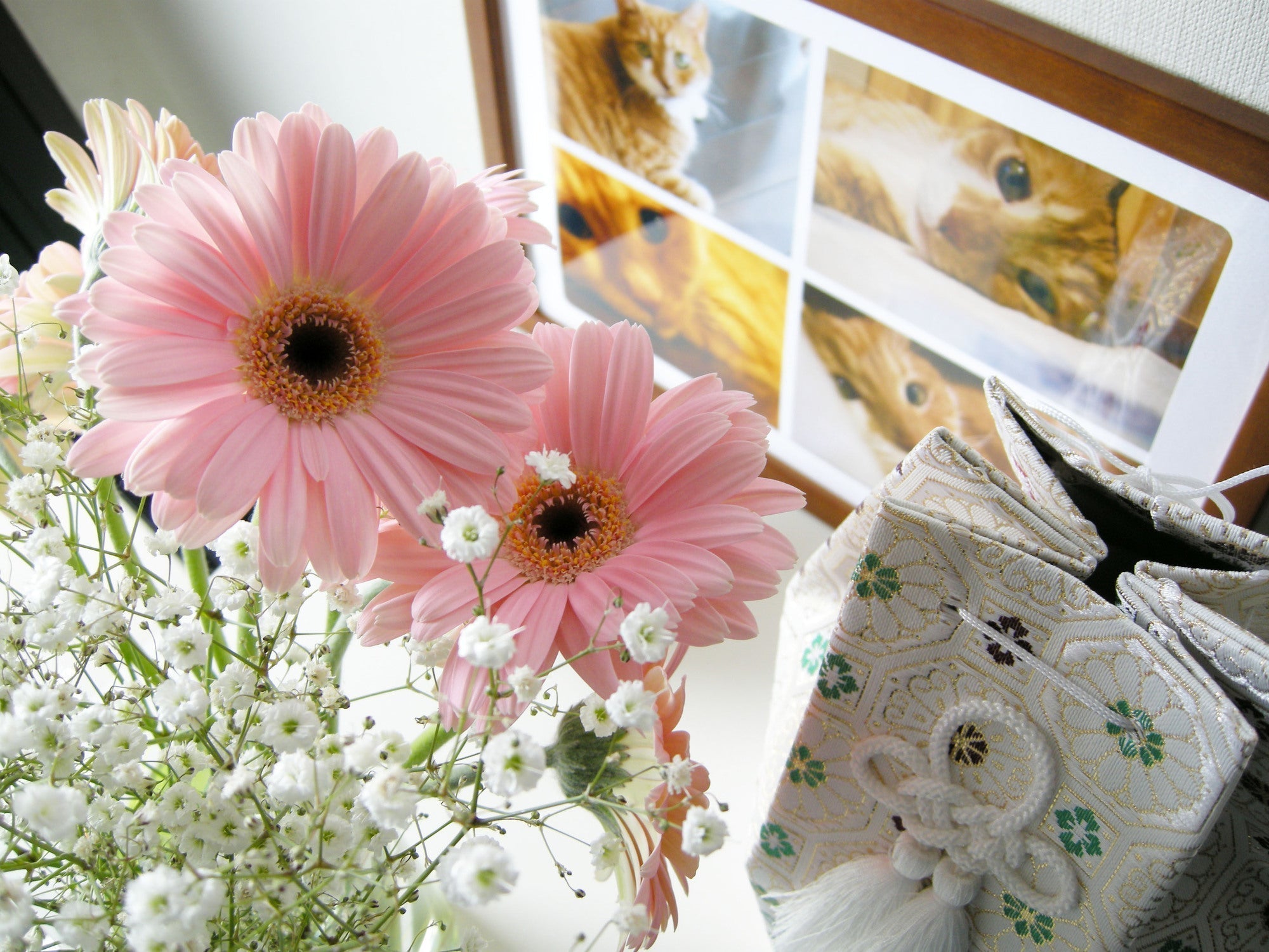 ペットロスとは?心に起きる変化と向き合い方|喪失の痛みに寄り添うために