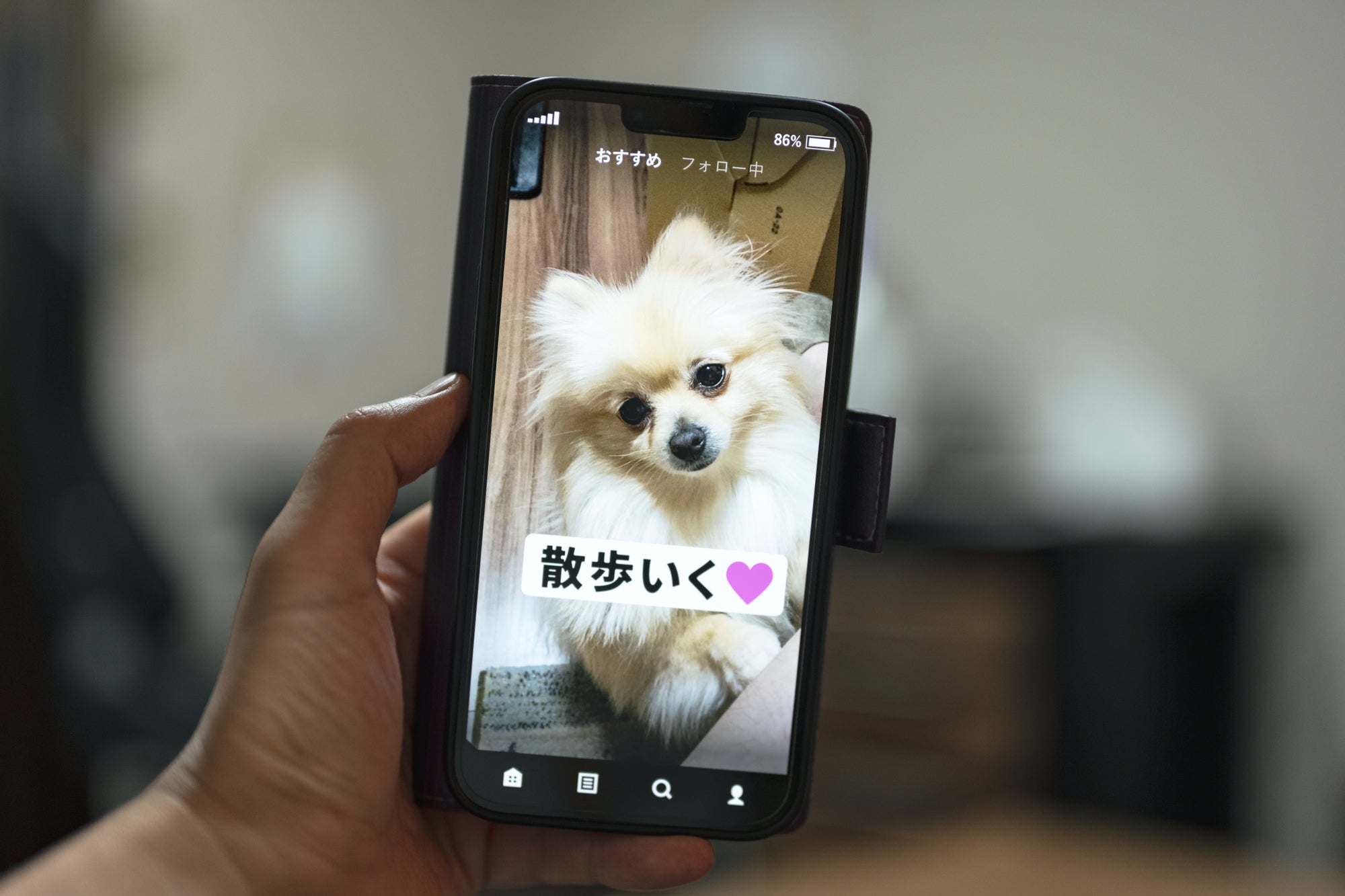 SNSでの“供養投稿”、してもいい?気持ちと向き合う発信のカタチ|ペットロスのSNS活用と注意点