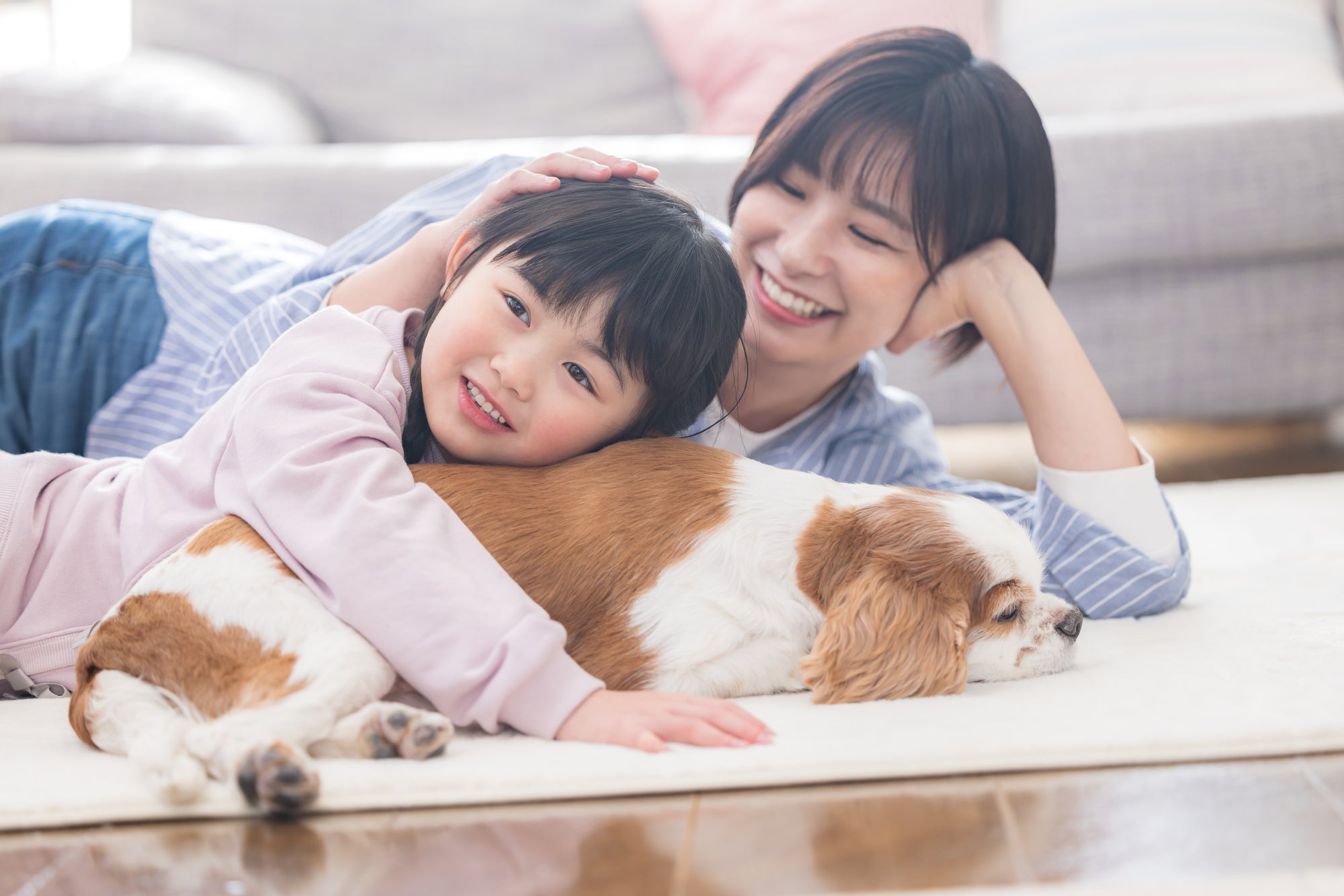 後悔しないために。ペットとのお別れ前にできること|穏やかな最期を迎える心構えと準備