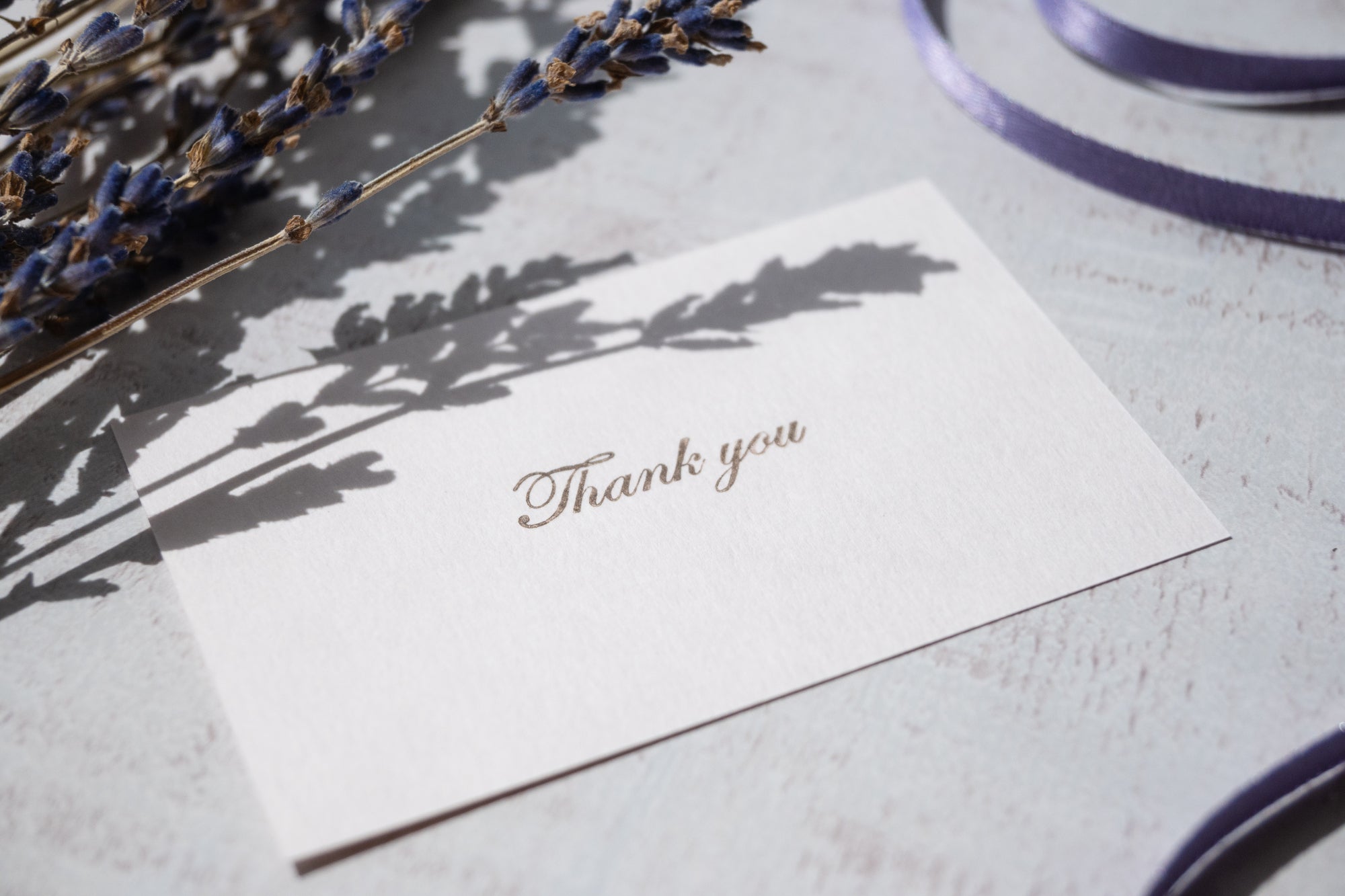 お空のあの子に届けたい、手紙の書き方ガイド|ペットロスと向き合う“書く習慣”のすすめ