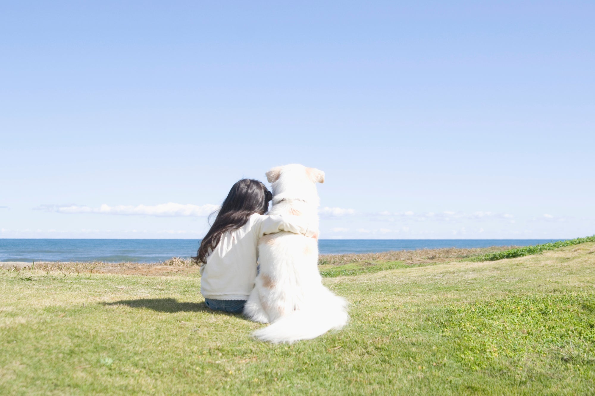お子さまと一緒に乗り越えるペットとのお別れ|命の大切さと家族の絆を育む時間