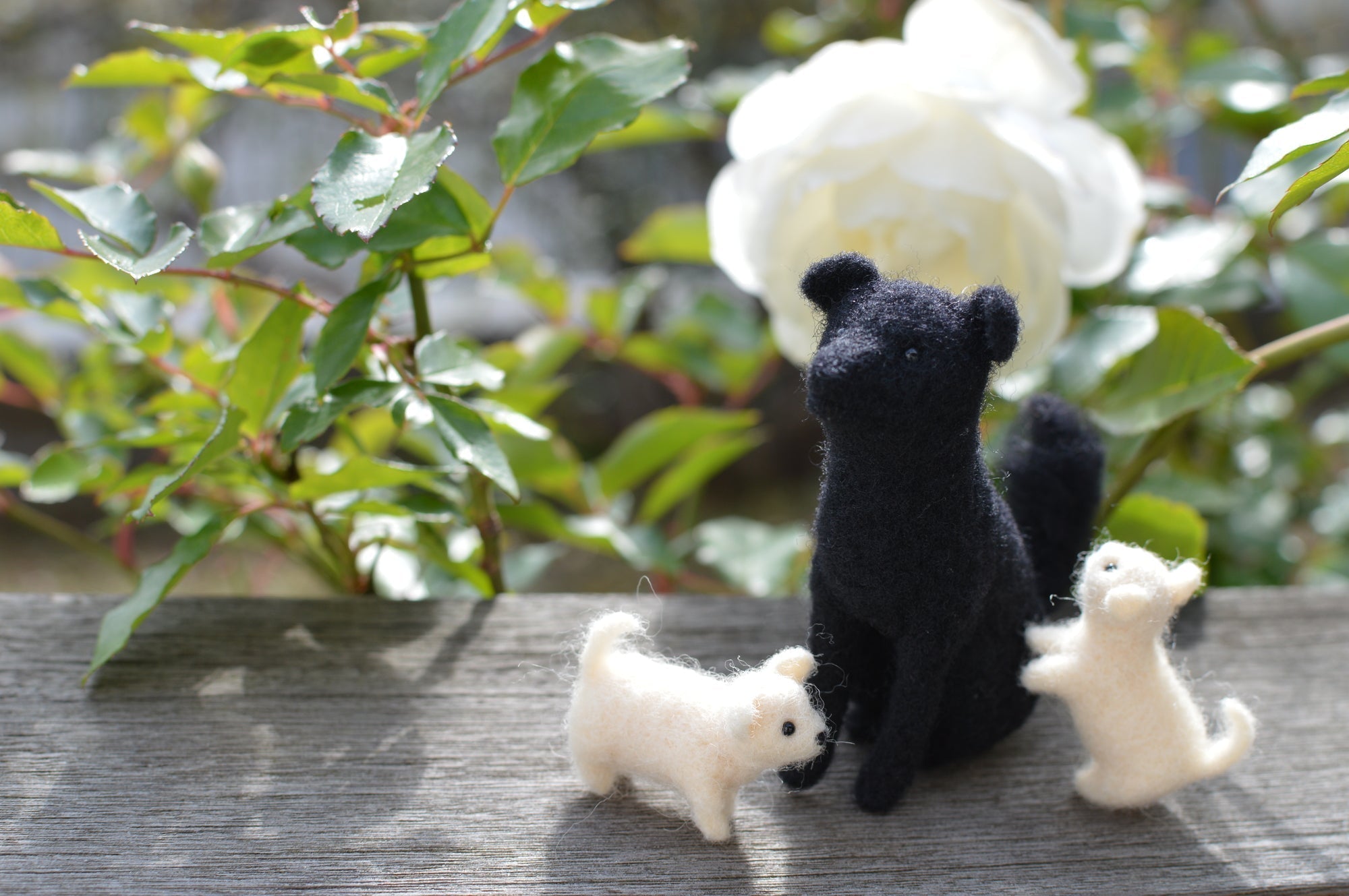 ペットと過ごした日々をアートに残す|記憶を形にするクリエイティブな方法