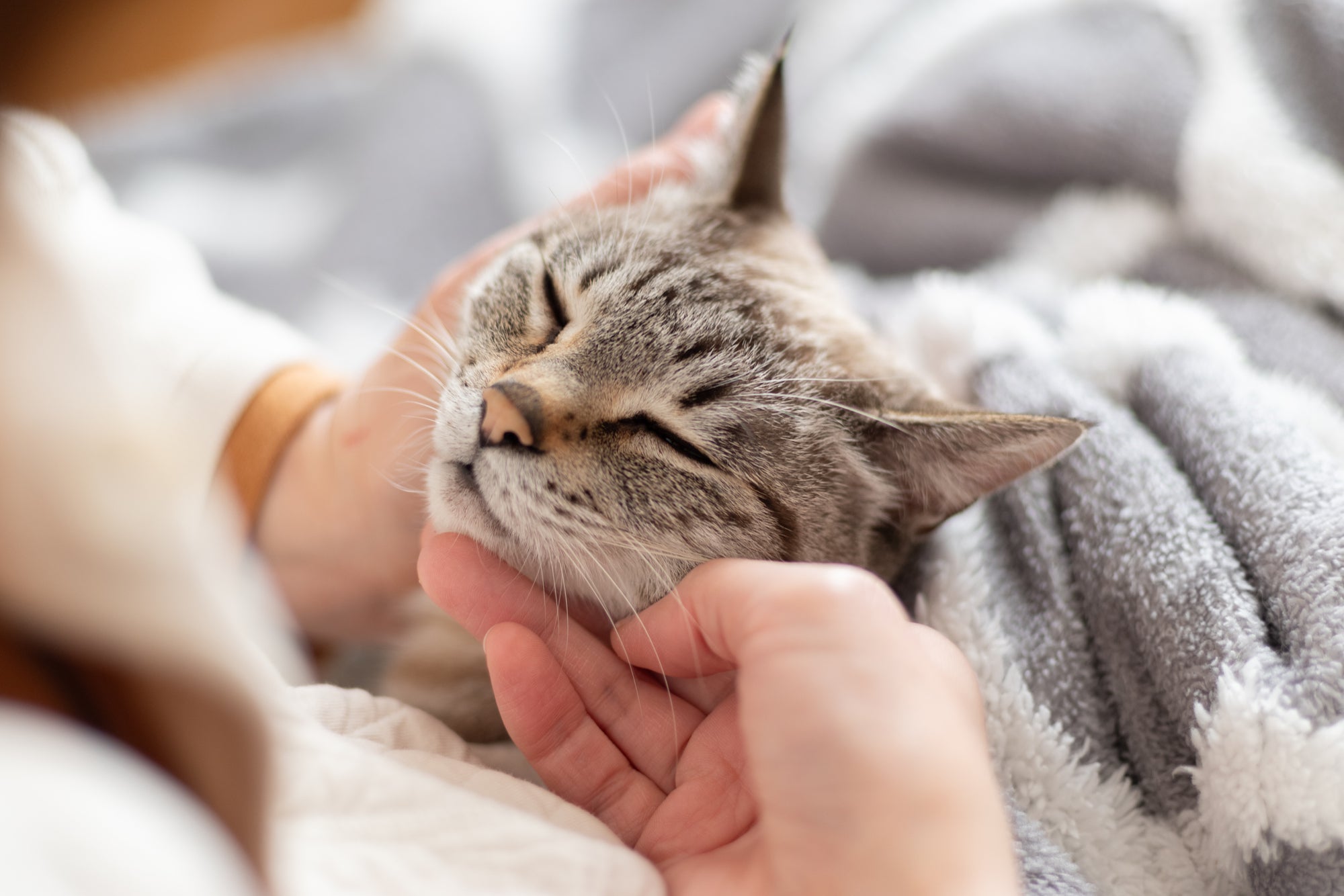 名前を呼ぶだけでいい