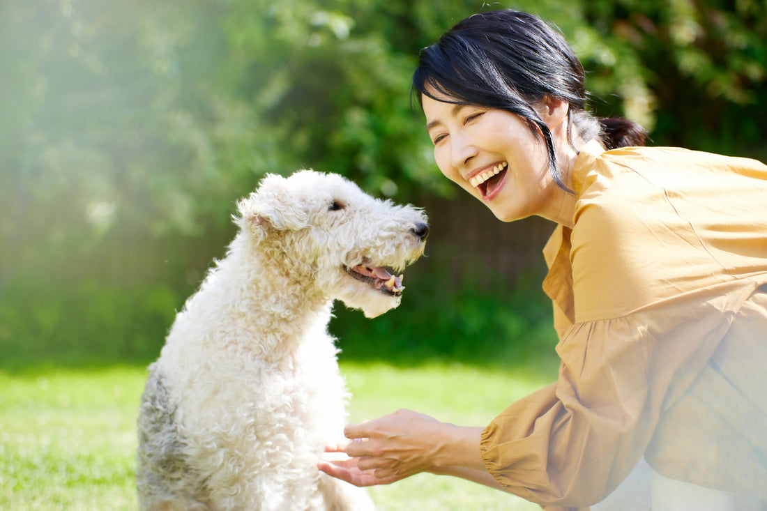 "いま"だからできる。生きているうちにしたいことリスト|別れの前に後悔しない時間を過ごすために