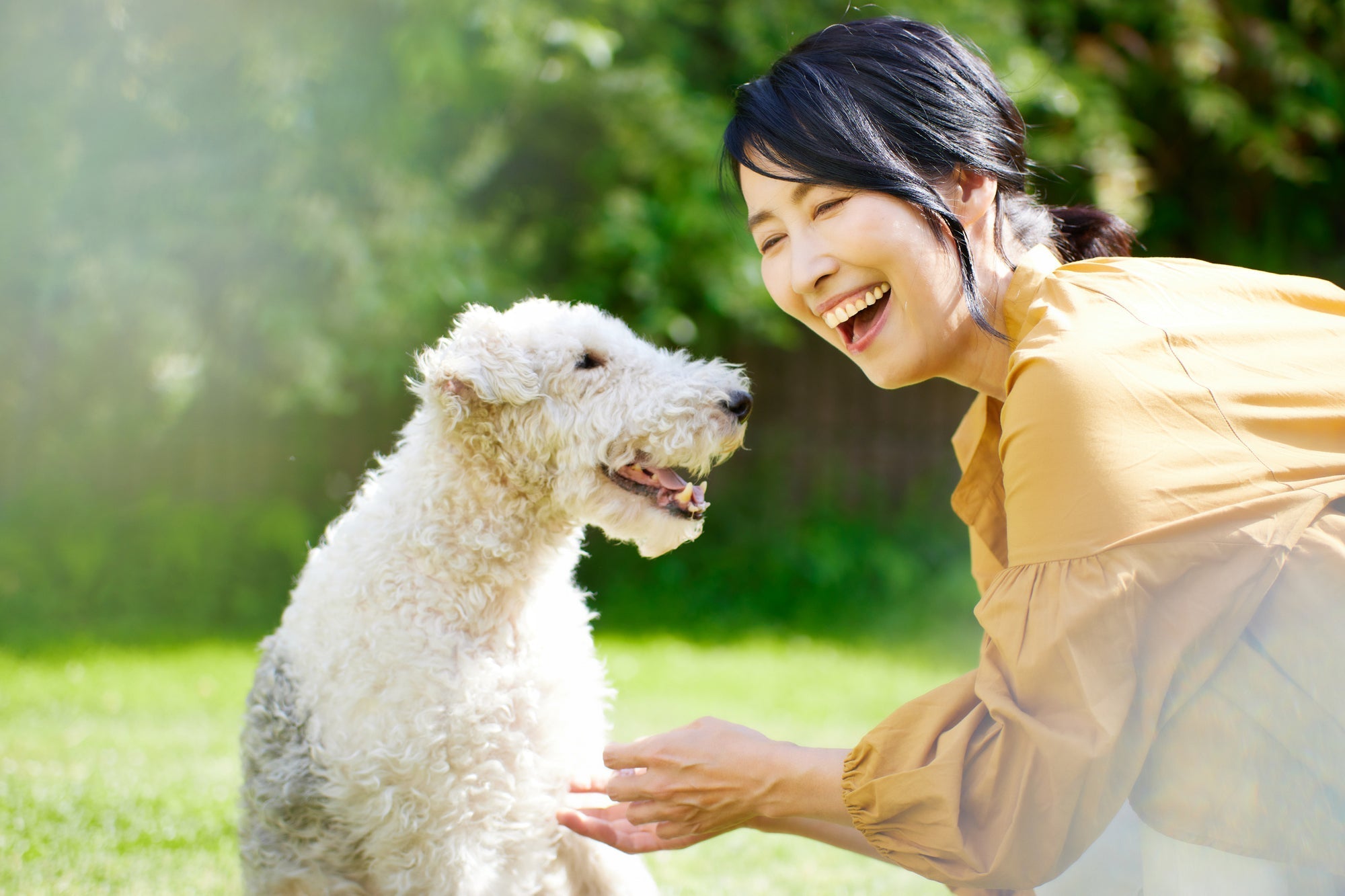 "いま"だからできる。生きているうちにしたいことリスト|別れの前に後悔しない時間を過ごすために