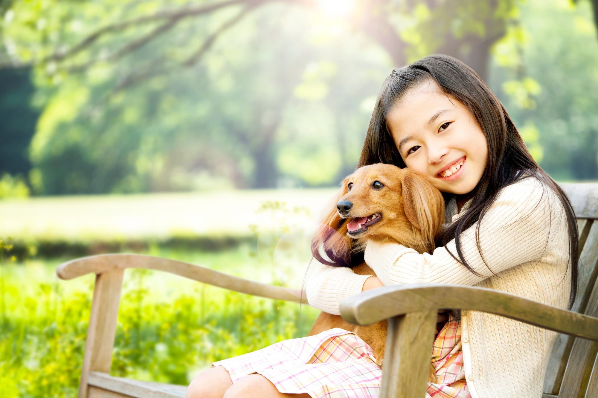 子どもと一緒にペットの死を受け入れる方法