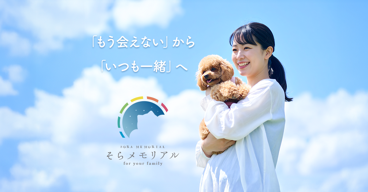 そら.様ご確認ページ So-TEN-Ken WEB版 | ビクセン Vixen