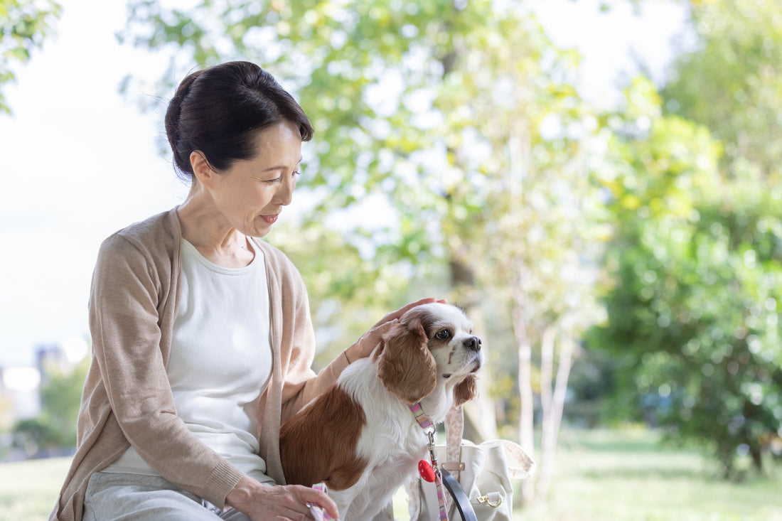 ペット信託という新しい制度