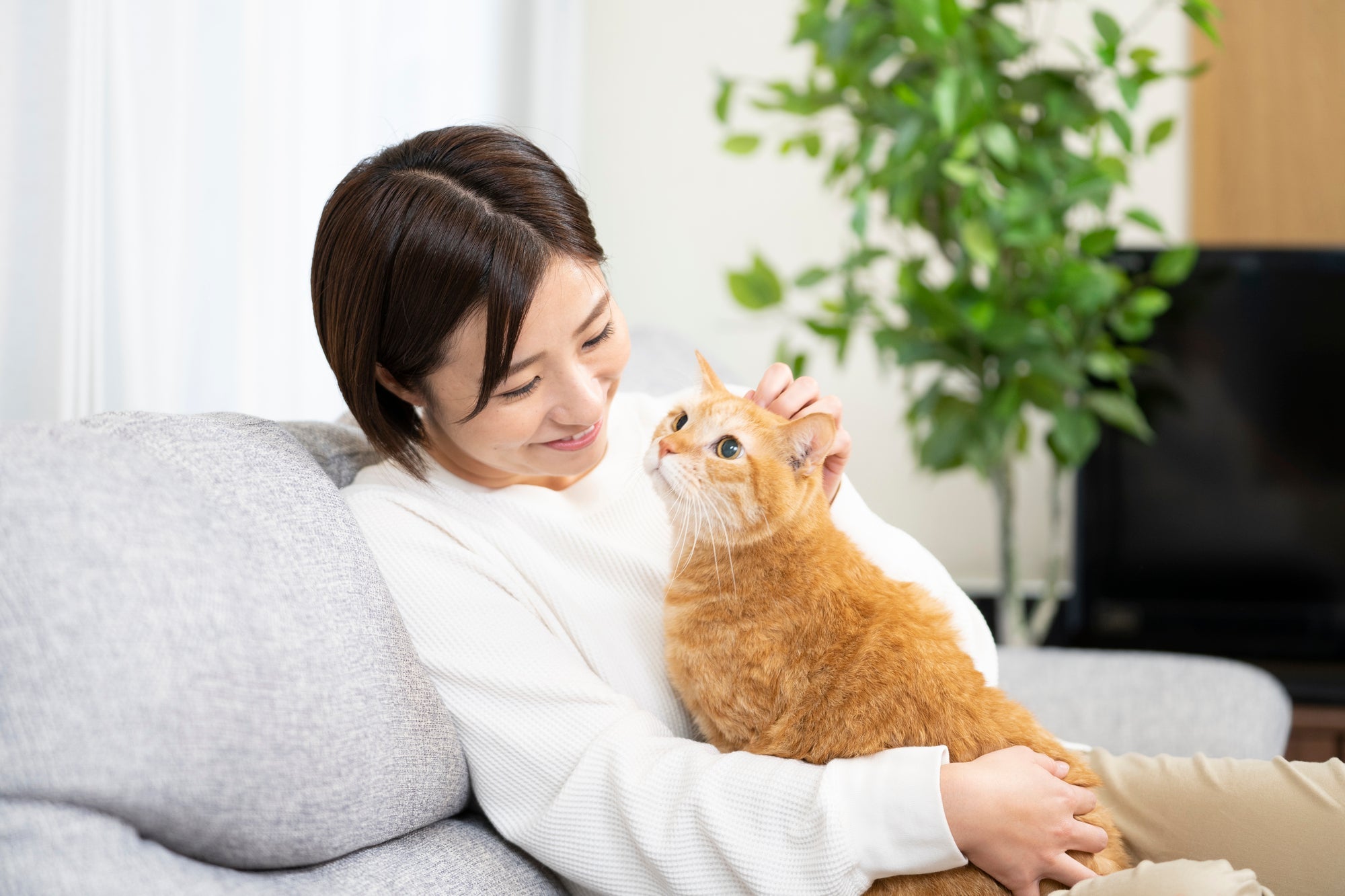 「家族」としてペットを見送るということ