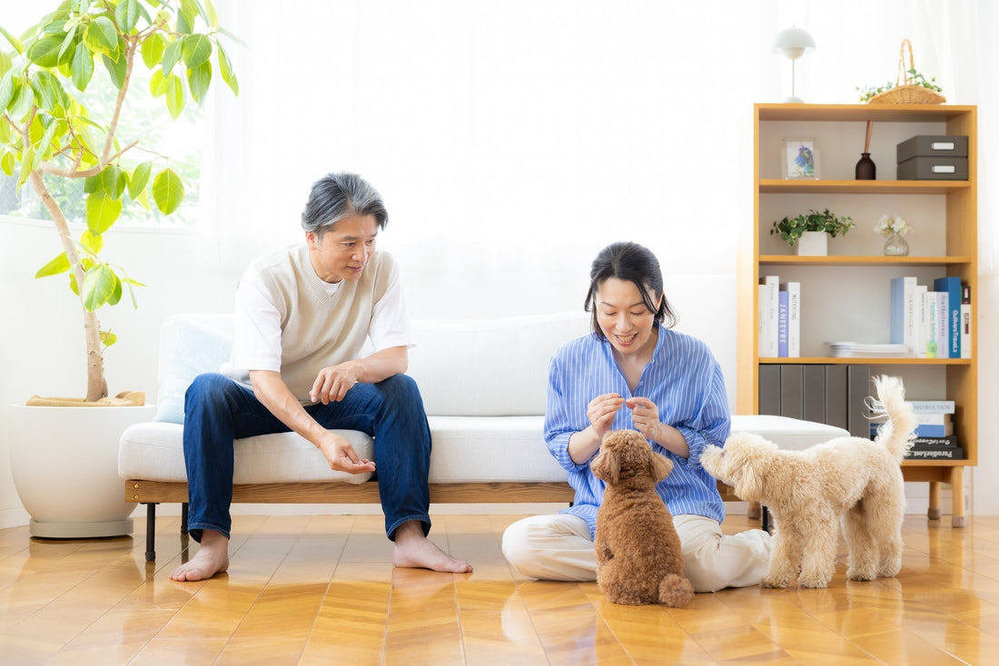 ペットと人は同じお墓に入れる？最新の埋葬事情を解説