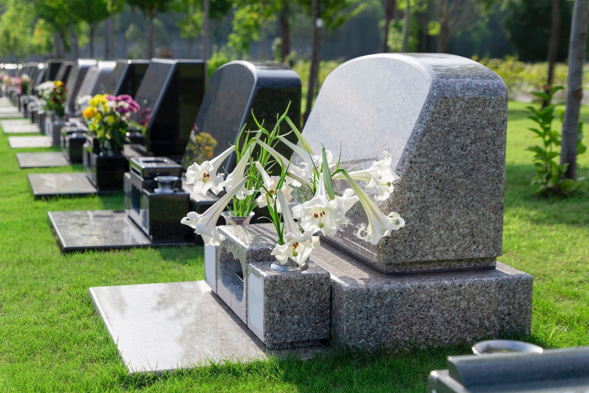 ペット霊園ってどんなところ？