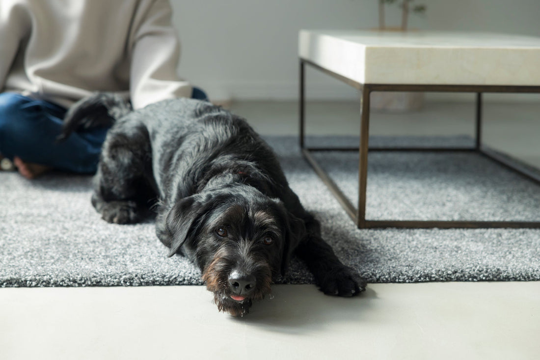 ちゃんと悲しめていないと感じるあなたへ
