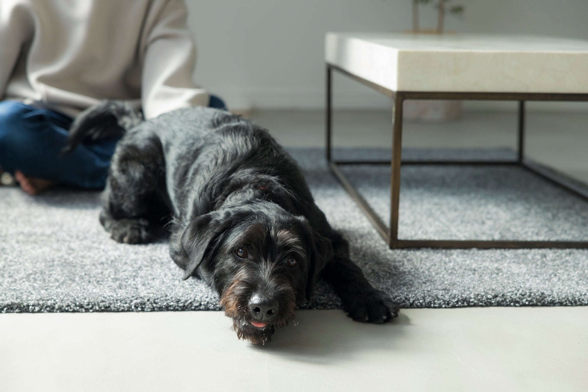 ちゃんと悲しめていないと感じるあなたへ