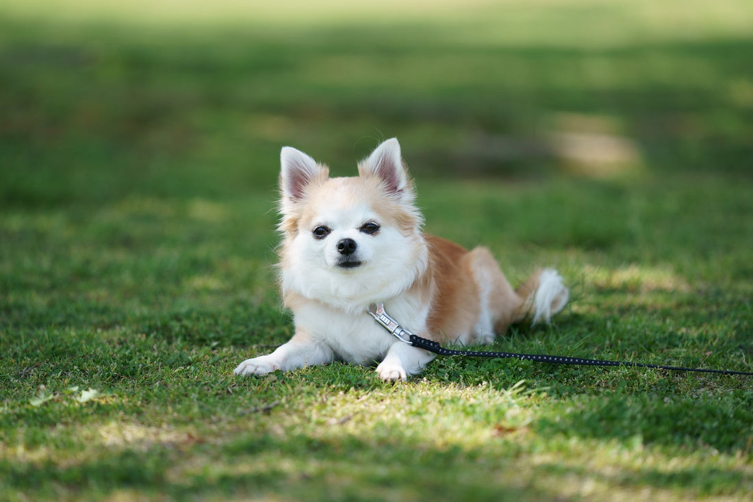 感情が揺れ戻るのは、前に進んでいる証