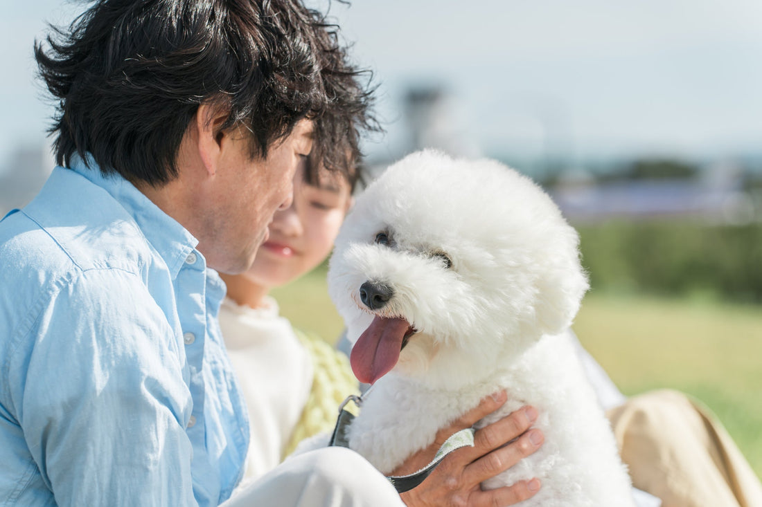 一人で抱えなくていい悲しみ