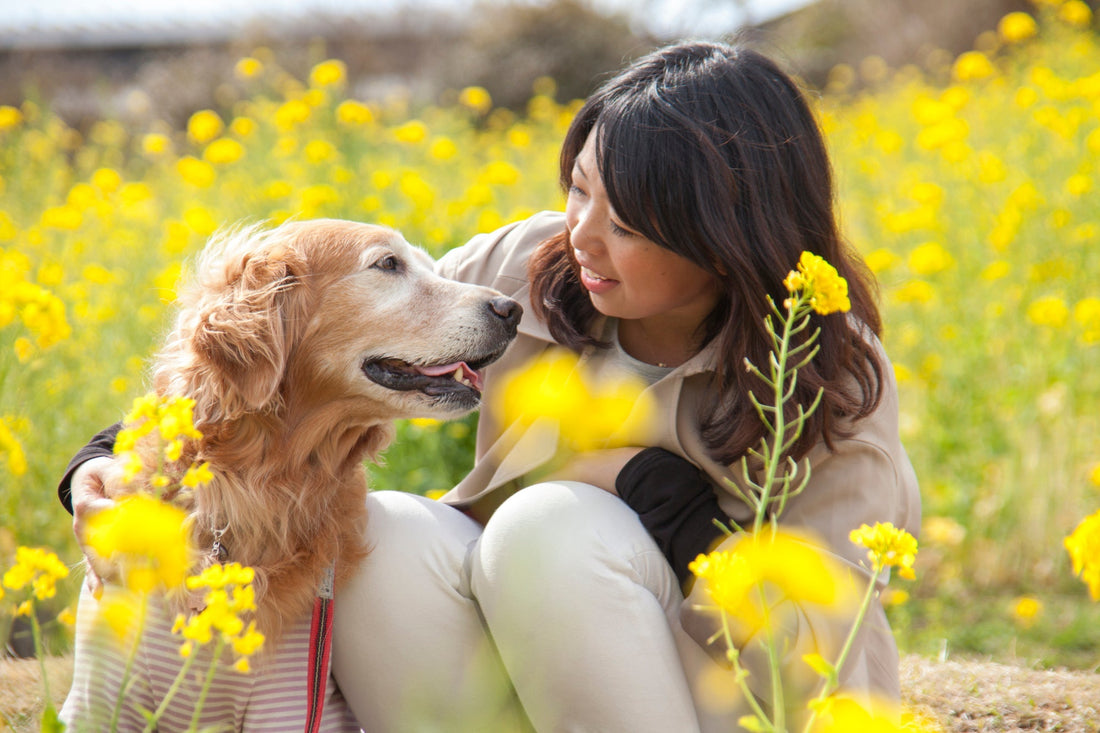 悲しみが波のように戻ってくる理由