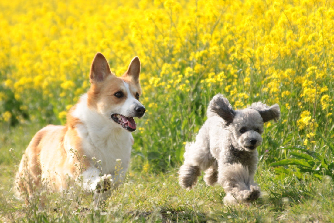 時間が経っても忘れられないのは自然なこと