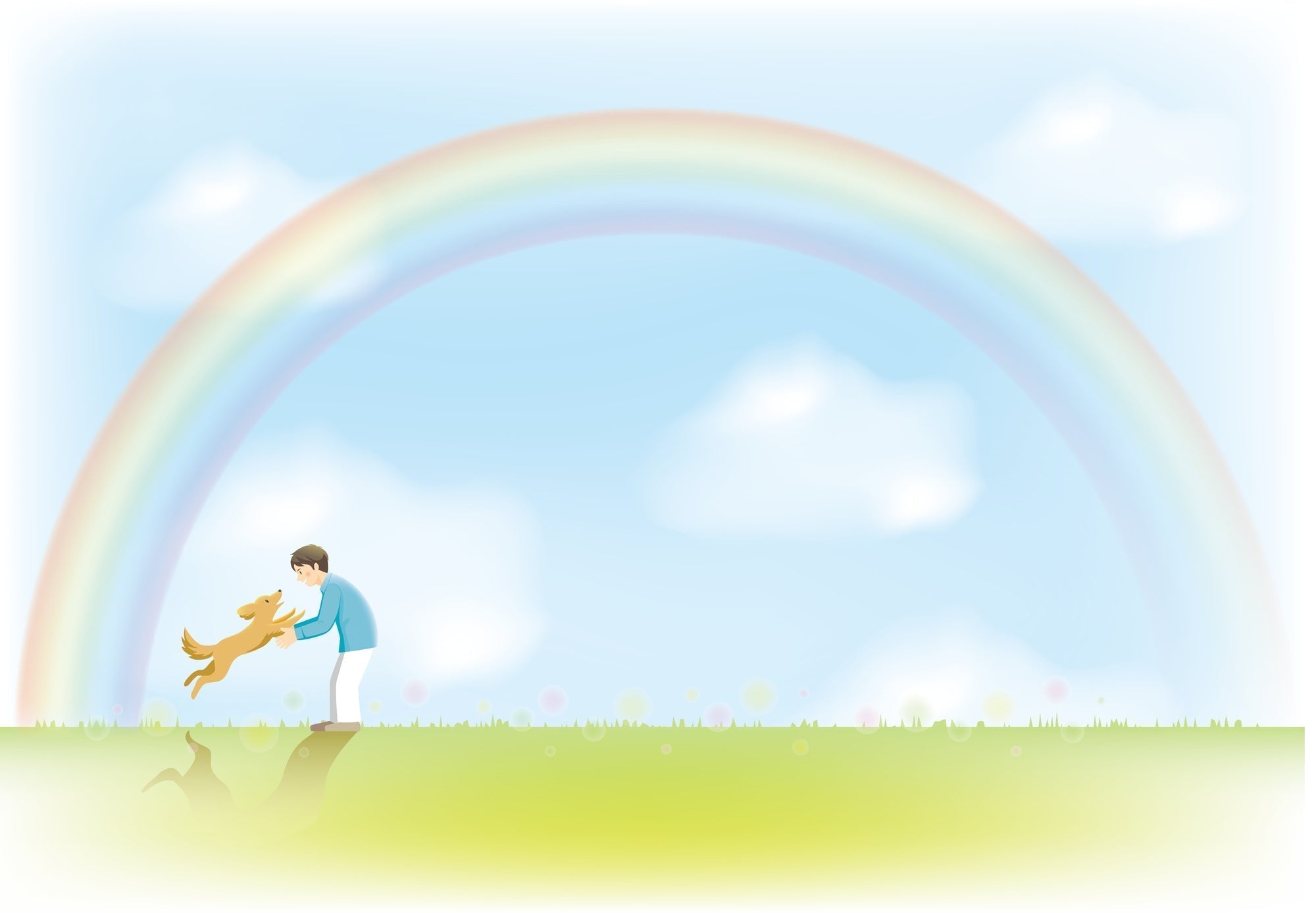 虹の橋ってなに？ペットを偲ぶ世界中の言葉｜別れの先にある癒しの物語