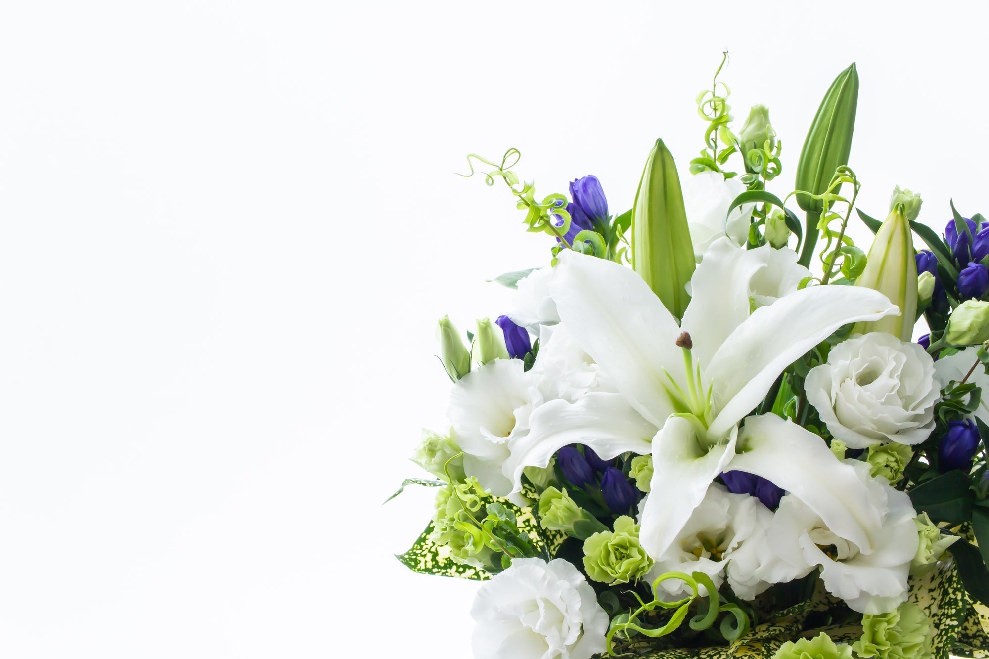 ペットの命日、どう過ごす？“記念日”としての向き合い方｜思い出を振り返る時間と心の整え方