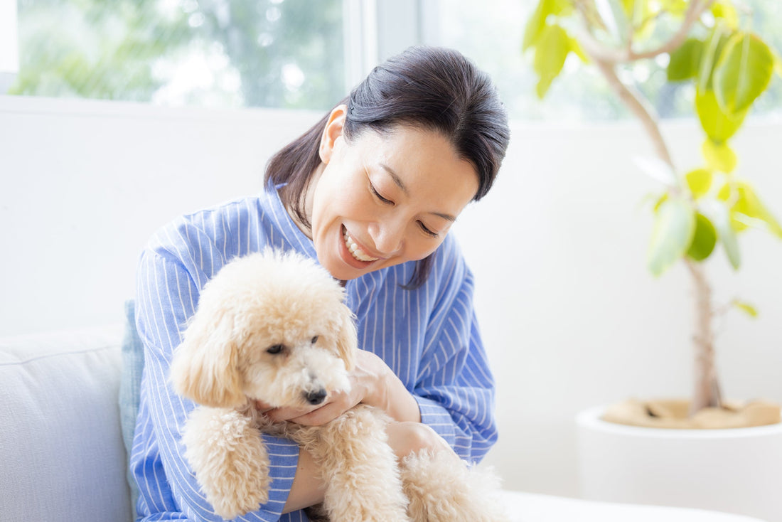 楽しかった思い出がつらいあなたへ