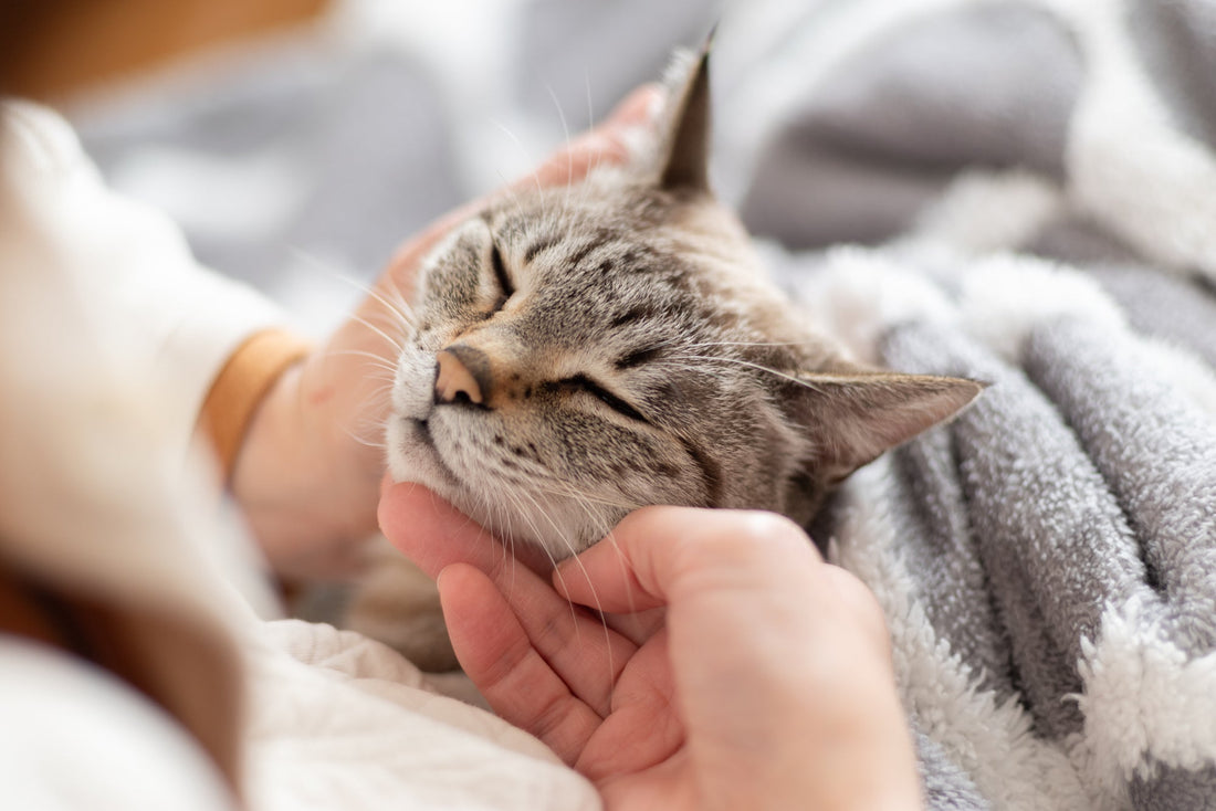 名前を呼ぶだけでいい